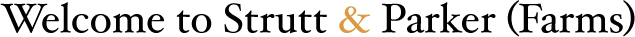 text